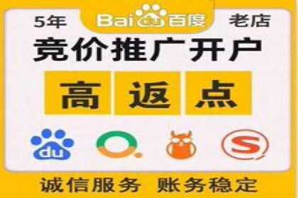 百度竞价广告投放技巧及某行业成功案例